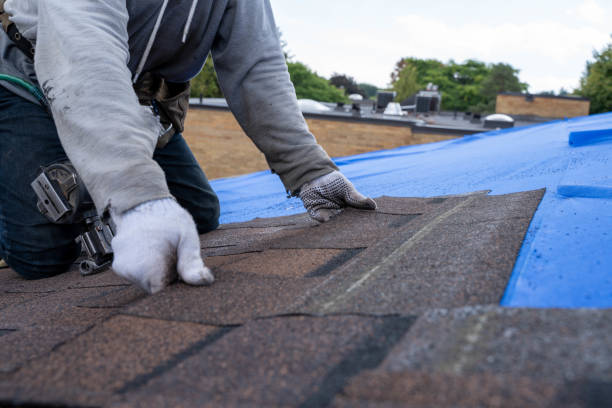 Best Roof Gutter Cleaning  in Woodstown, NJ