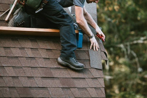 Best Storm Damage Roof Repair  in Woodstown, NJ